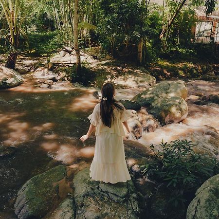 เดอะริเวอร์ แม่กำปอง The River Maekampong Chiang Mai Banpoknaj Kültér fotó